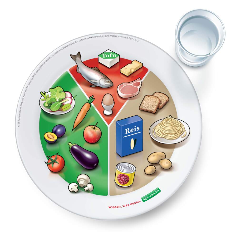 Der optimale Teller hat drei Teile: Der kleinste Teil sind Eiweisse wie Fleisch, Fisch und Eier. Die anderen zwei Teile sind gleich gross: 1 Teil mit Fr&uuml;chten und Gem&uuml;se und 1 Teil mit Kohlenhydraten.