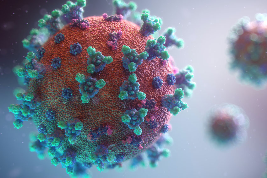 Das Bildzeigt ein Corona-Virus mit den typischen Zapfen, die an eine Krone erinnern.