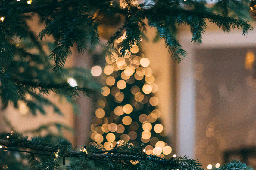 Oben und unten sind gr&uuml;nen Zweige von einem Tannenbaum. Weit hinten steht ein Christbaum mit vielen Lichtern. Die Lichter sind verschwommen.