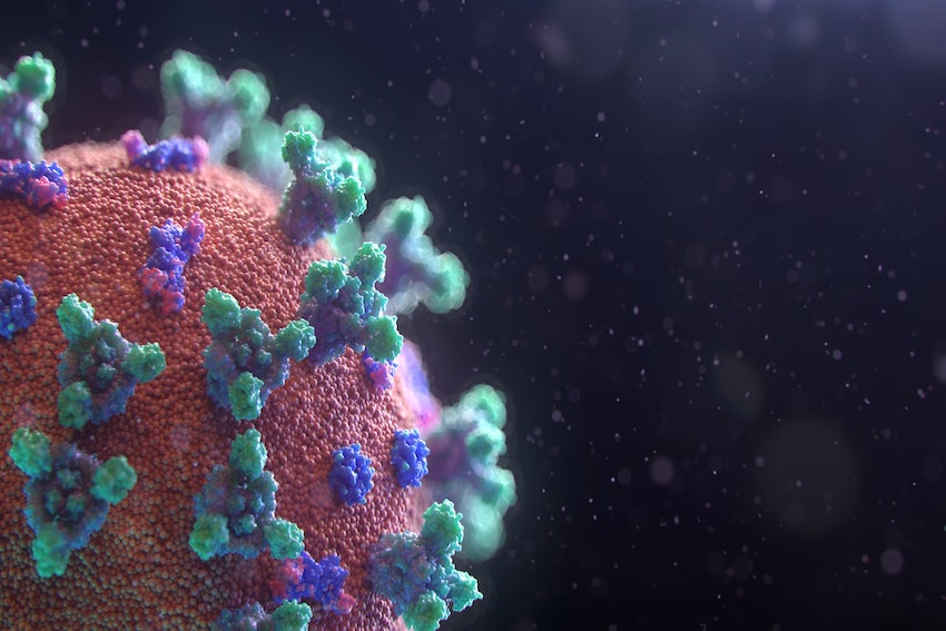 Visualisierung eines Corona-Virus mit seinen zapfenähnlichen Auswüchsen.