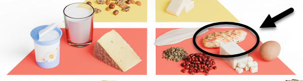 Auschnitt aus der Lebensmittelpyramide. Im Feld "Eiweiss" liegt ein Ei, ein Tofu, Bohnen, Linsen, ein Fischfilet und eine gegrillte Pouletbrust.